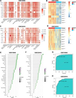 Gene set-based identification of two immune subtypes of diffuse large B cell lymphoma for guiding immune checkpoint blocking therapy